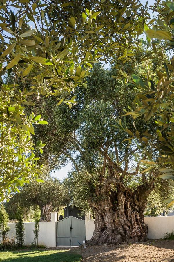 Villa Laoura Svoronata Eksteriør bilde